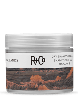 r+co dry shampoo